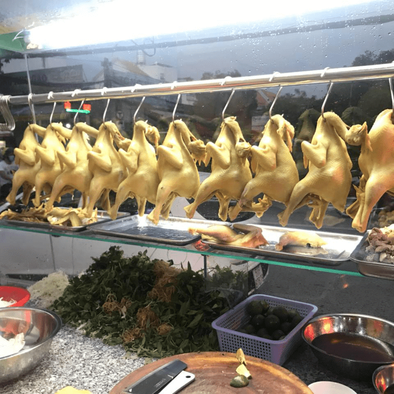 gà ta tam kỳ Gà ta tam kỳ