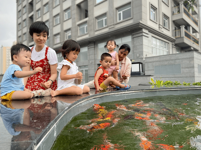 Trường Mầm Non Maitri Montessori Kindergarten Trường Mầm Non Maitri Montessori Kindergarten