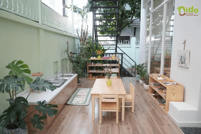 mầm non tổ chim mần non tổ chim