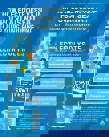 Pocari Sweat Electrolytes – Các chất điện giải chính trong Pocari Sweat