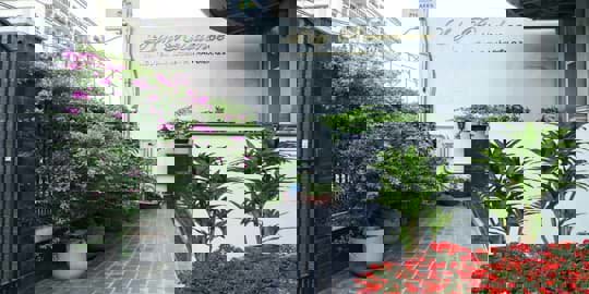 Đại lý giao nước đến Lily Residences – 235 Nguyễn Văn Hưởng, Thảo Điền