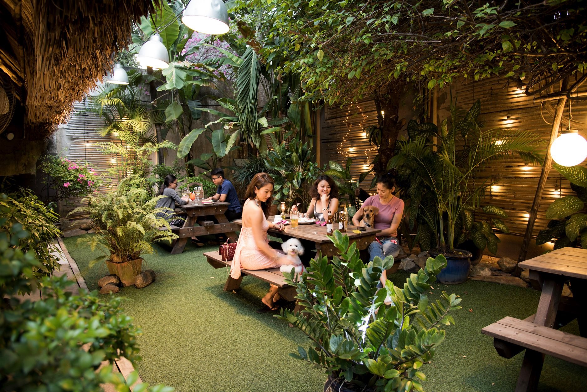 the snap cafe - không gian cho các pet yêu