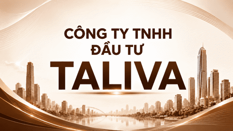 Công Ty TNHH Đầu Tư Taliva- 55 Đường Đặng Như Mai, Phường Cát Lái, TP.HCM
