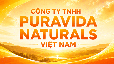 Công Ty Tnhh Puravida Naturals Việt Nam
