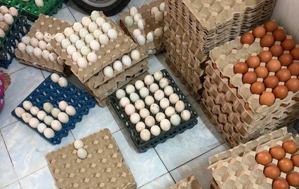 Cửa hàng Trứng Nhà Cô Lê – Hành trình khởi nghiệp từ những điều bình dị giữa lòng khu dân cư