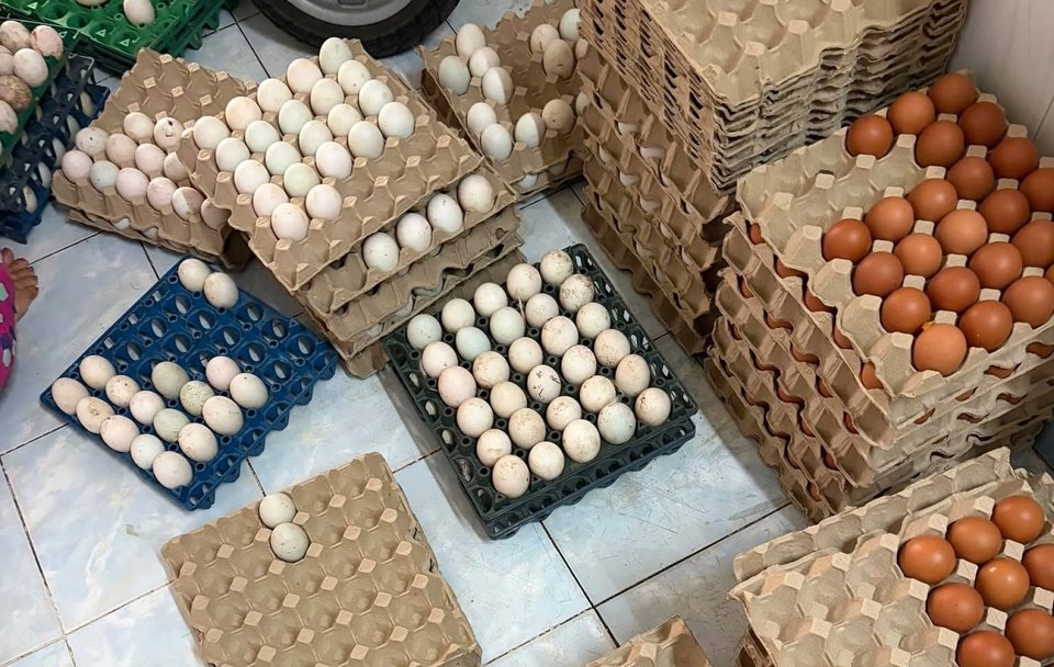 Cửa hàng Trứng Nhà Cô Lê – Hành trình khởi nghiệp từ những điều bình dị giữa lòng khu dân cư Cửa hàng Trứng Nhà Cô Lê – Hành trình khởi nghiệp từ những điều bình dị giữa lòng khu dân cư