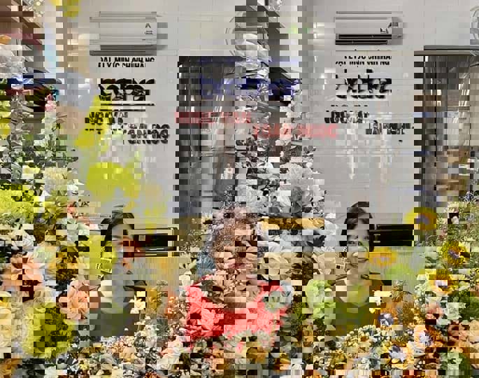 Ngọc Vạn – Giải Pháp Kỹ Thuật Toàn Diện, Dẫn Đầu Chất Lượng Và Uy Tín