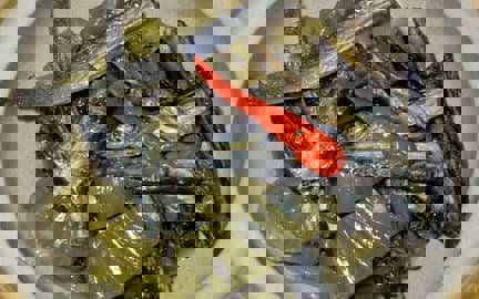 Hướng dẫn cách làm món Cá kèo om dưa