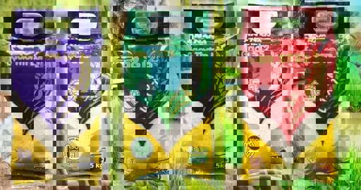 Giới thiệu về Công ty TNHH Sản xuất Thương mại Phát triển Nông sản Việt Nam (VAC)