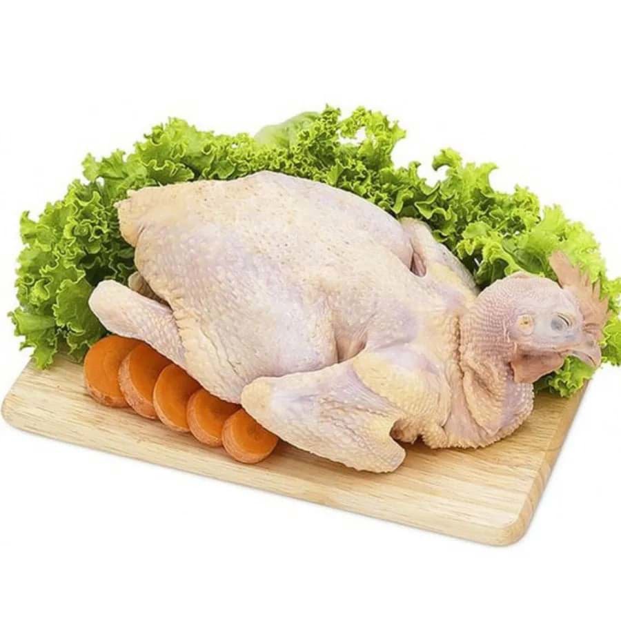 Thịt gà chế biến được bao nhiêu món? Thịt gà chế biến được bao nhiêu món?