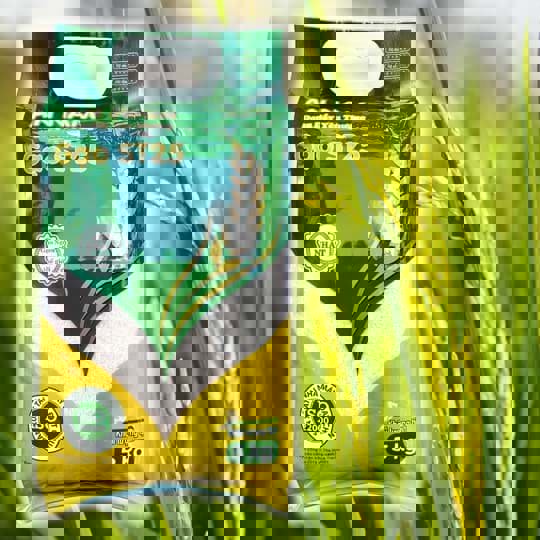 Gạo ST25 An Nam – Sự lựa chọn hoàn hảo cho bữa cơm gia đình tại Quận Phú Nhuận