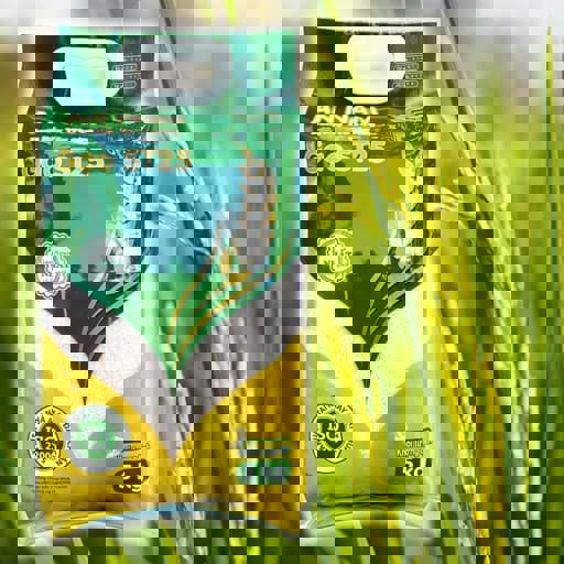 Gạo ST25 An Nam – Sự lựa chọn hoàn hảo cho bữa cơm gia đình tại Quận Phú Nhuận Gạo ST25 An Nam – Sự lựa chọn hoàn hảo cho bữa cơm gia đình tại Quận Phú Nhuận