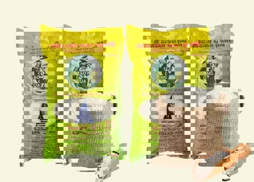 Tìm hiểu Gạo ST25 là một loại gạo nổi tiếng của Việt Nam Tìm hiểu Gạo ST25 là một loại gạo nổi tiếng của Việt Nam