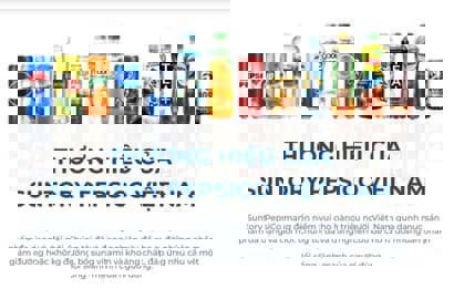 Tổng hợp cho các sản phẩm của Pepsi có bán trên thị trường Việt Nam