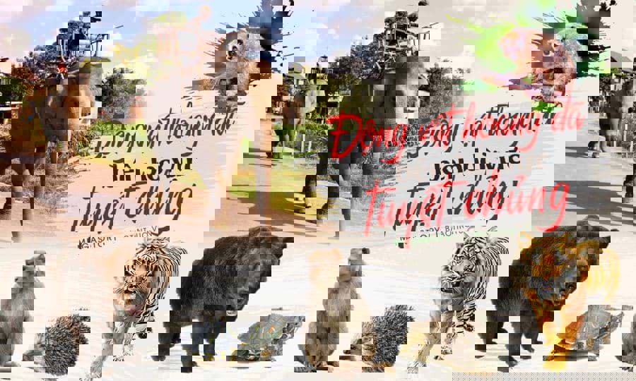 Một số động vật quý hiếm được liệt kê trong Sách đỏ Việt Nam