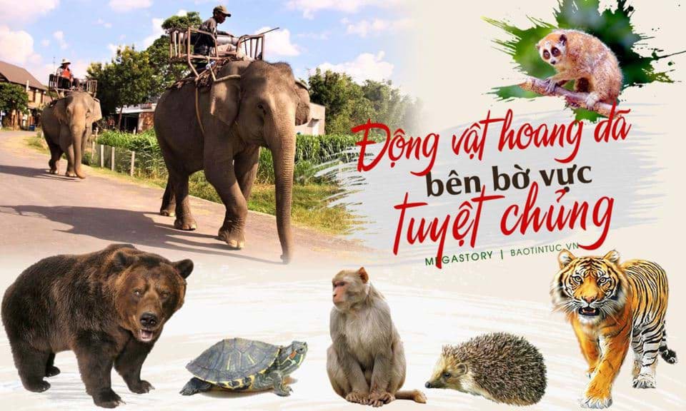 Một số động vật quý hiếm được liệt kê trong Sách đỏ Việt Nam Một số động vật quý hiếm được liệt kê trong Sách đỏ Việt Nam