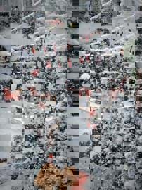 Tiệm ăn Nhà Khói - quán cafe check-in Noel đẹp ở thành phố Thủ Đức