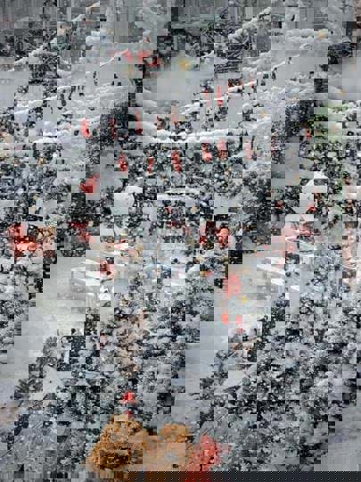 Tiệm ăn Nhà Khói - quán cafe check-in Noel đẹp ở thành phố Thủ Đức