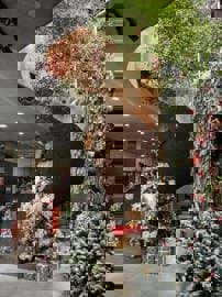  TATA Coffee - Quán cafe check-in Noel đẹp ở thành phố Thủ Đức