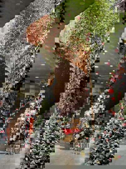  TATA Coffee - Quán cafe check-in Noel đẹp ở thành phố Thủ Đức