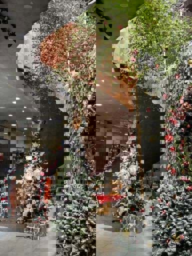 TATA Coffee - Quán cafe check-in Noel đẹp ở thành phố Thủ Đức  TATA Coffee - Quán cafe check-in Noel đẹp ở thành phố Thủ Đức