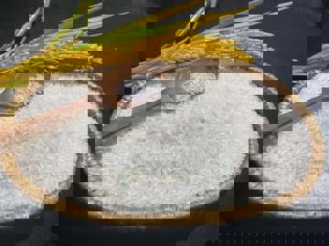 Về giá trị dinh dưỡng của gạo ST25 và gạo thường có khác nhau?