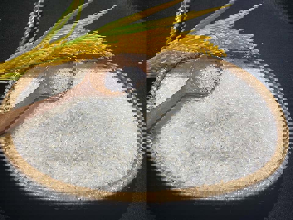 Are there any nutritional differences between ST25 rice and regular rice? Are there any nutritional differences between ST25 rice and regular rice?