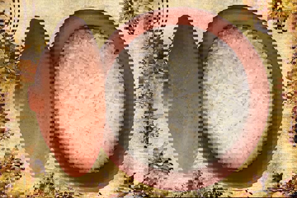 Instructions for cooking delicious ST25 rice while preserving its distinctive flavor. Instructions for cooking delicious ST25 rice while preserving its distinctive flavor.