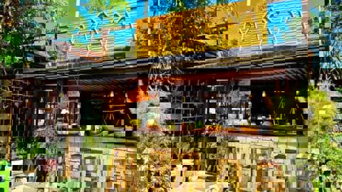 Mầm Coffee – Nơi Giao Thoa Giữa Thiên Nhiên và Nghệ Thuật Thưởng Thức