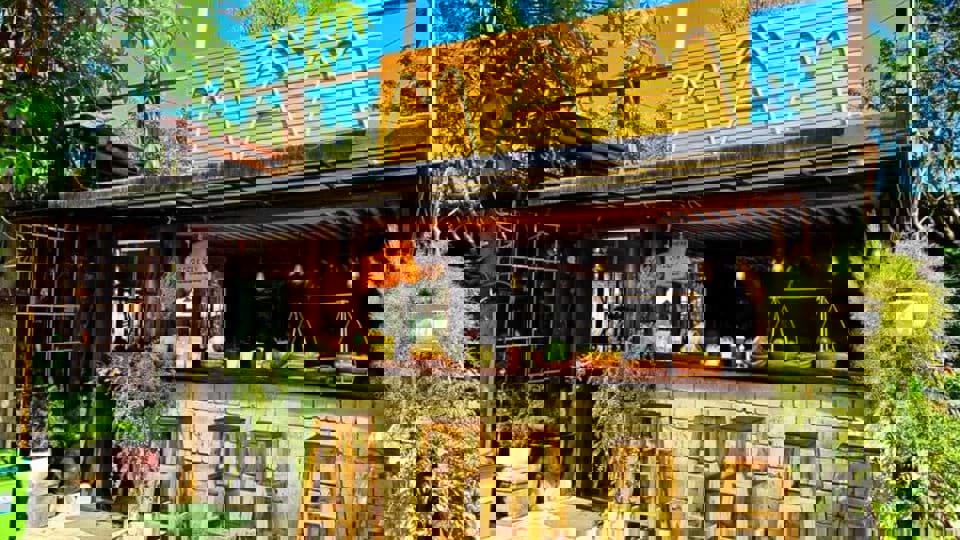 Mầm Coffee – Nơi Giao Thoa Giữa Thiên Nhiên và Nghệ Thuật Thưởng Thức