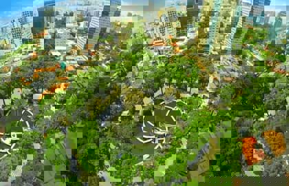 Thông tin chi tiết về hành chính Quận 3, Thành phố Hồ Chí Minh