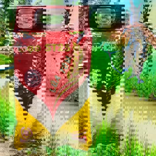 Gạo ST25 lúa tôm khác gạo ST25 thường chỗ nào?