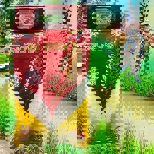 Gạo ST25 lúa tôm khác gạo ST25 thường chỗ nào? Gạo ST25 lúa tôm khác gạo ST25 thường chỗ nào?