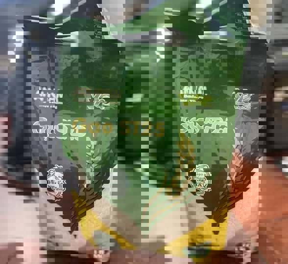 Thông tin về loại Gạo ST25 An Nam