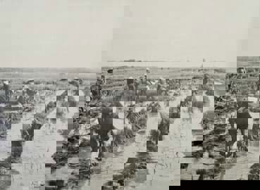 Ý nghĩa của lúa gạo đối với văn minh lúa nước và văn hóa Việt Nam