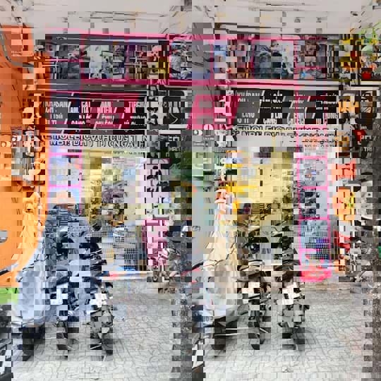 Pet Mobile - Dịch Vụ Thú Cưng Tại Nhà Uy Tín, Tiện Lợi - 403A Nguyễn Duy Trinh, Thủ Đức