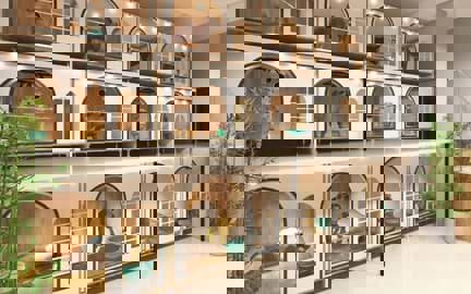 Pet Hotel & Boarding - Dịch Vụ Chăm Sóc Thú Cưng & Điểm Gửi Chó Mèo Dịp Tết 2025