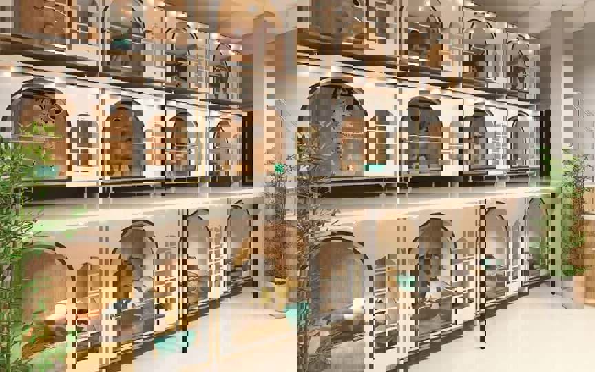 Pet Hotel & Boarding - Dịch Vụ Chăm Sóc Thú Cưng & Điểm Gửi Chó Mèo Dịp Tết 2025