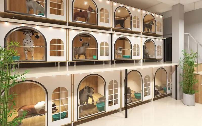 Pet Hotel & Boarding - Dịch Vụ Chăm Sóc Thú Cưng & Điểm Gửi Chó Mèo Dịp Tết 2025 Pet Hotel & Boarding - Dịch Vụ Chăm Sóc Thú Cưng & Điểm Gửi Chó Mèo Dịp Tết 2025