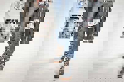 Dịch Vụ Vận Chuyển Thú Cưng Bằng Máy Bay Vào Mùa Tết 2025: Những Điều Cần Biết và Lưu Ý