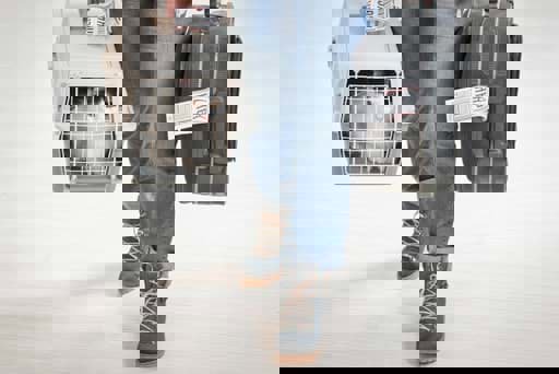 Dịch Vụ Vận Chuyển Thú Cưng Bằng Máy Bay Vào Mùa Tết 2025: Những Điều Cần Biết và Lưu Ý Dịch Vụ Vận Chuyển Thú Cưng Bằng Máy Bay Vào Mùa Tết 2025: Những Điều Cần Biết và Lưu Ý