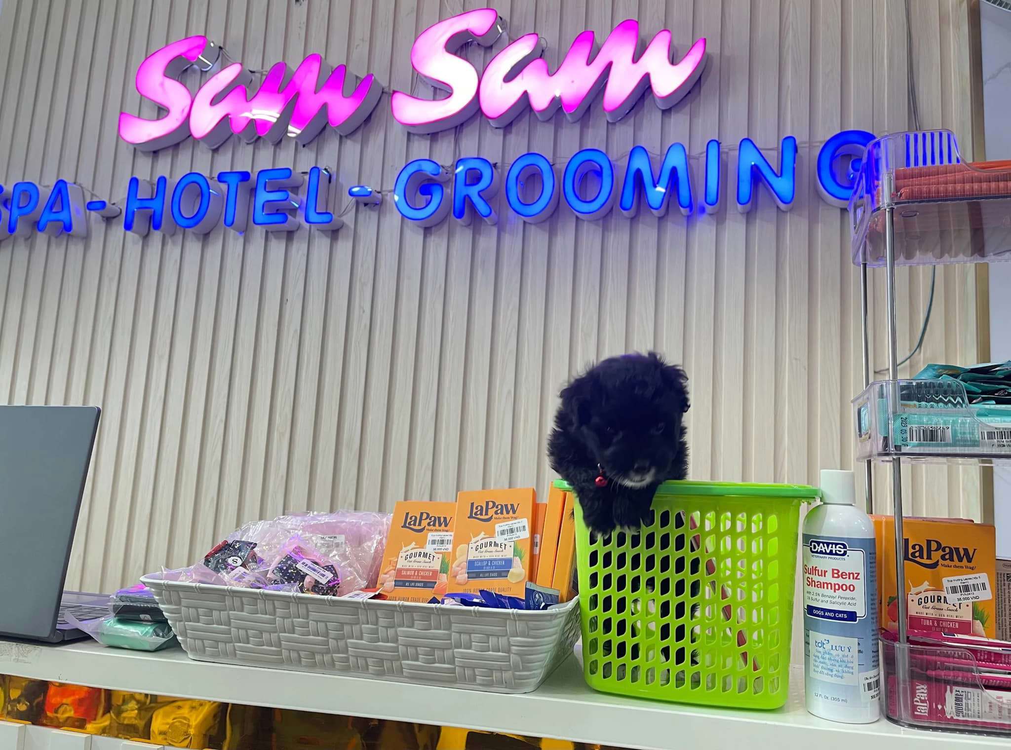 SamSam Pet Shop & Spa - Dịch Vụ Gửi Thú Cưng Uy Tín Dịp Tết Nguyên Đán 2025