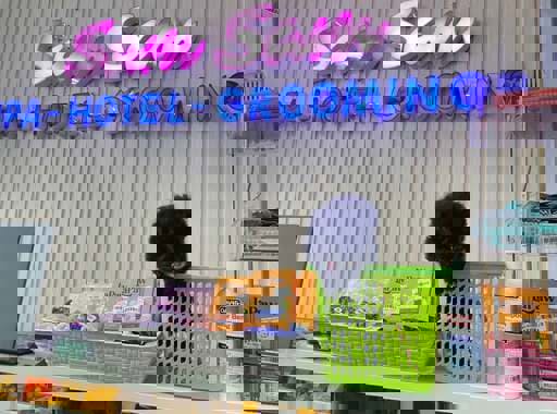 SamSam Pet Shop & Spa - Dịch Vụ Gửi Thú Cưng Uy Tín Dịp Tết Nguyên Đán 2025 SamSam Pet Shop & Spa - Dịch Vụ Gửi Thú Cưng Uy Tín Dịp Tết Nguyên Đán 2025