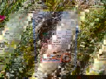 Cách làm bột ngũ cốc tại nhà