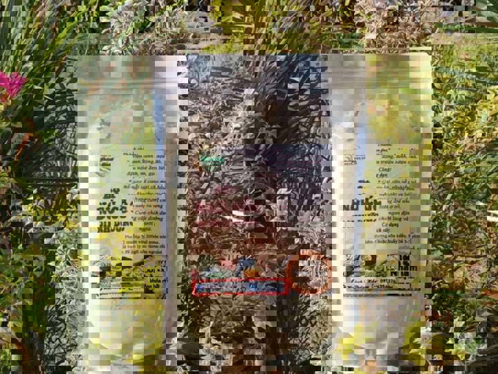 Cách làm bột ngũ cốc tại nhà