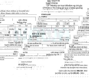 Dịch vụ gia công nước uống đóng chai nhãn riêng của Nhà máy Thiên Nhiên Thủy