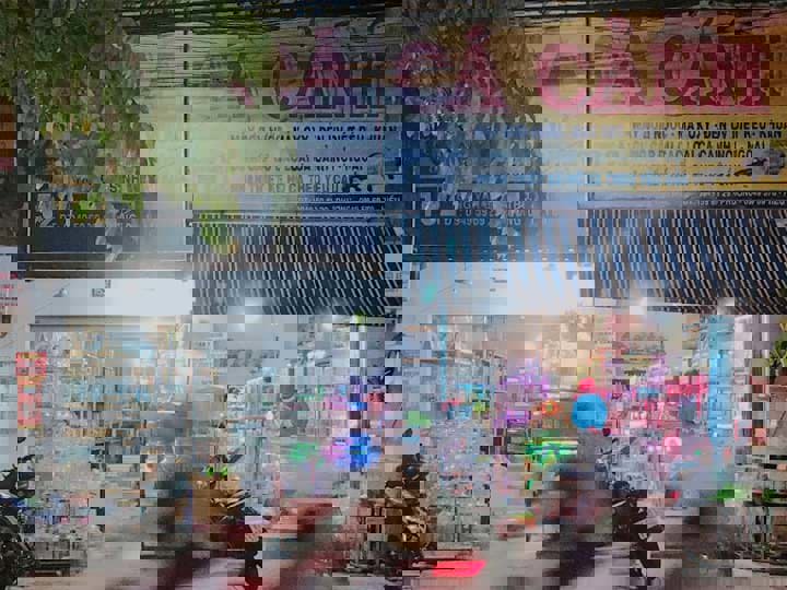 Khám Phá Tiệm Cá Cảnh Thủy Sinh Hồng Ngọc – Điểm Đến Uy Tín Cho Những Tín Đồ Cá Cảnh Tại Thủ Đức