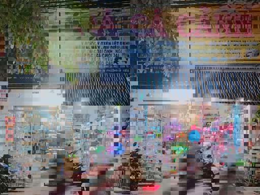 Khám Phá Tiệm Cá Cảnh Thủy Sinh Hồng Ngọc – Điểm Đến Uy Tín Cho Những Tín Đồ Cá Cảnh Tại Thủ Đức Khám Phá Tiệm Cá Cảnh Thủy Sinh Hồng Ngọc – Điểm Đến Uy Tín Cho Những Tín Đồ Cá Cảnh Tại Thủ Đức