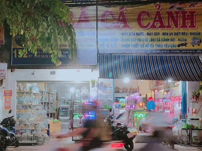 Khám Phá Tiệm Cá Cảnh Thủy Sinh Hồng Ngọc – Điểm Đến Uy Tín Cho Những Tín Đồ Cá Cảnh Tại Thủ Đức Khám Phá Tiệm Cá Cảnh Thủy Sinh Hồng Ngọc – Điểm Đến Uy Tín Cho Những Tín Đồ Cá Cảnh Tại Thủ Đức