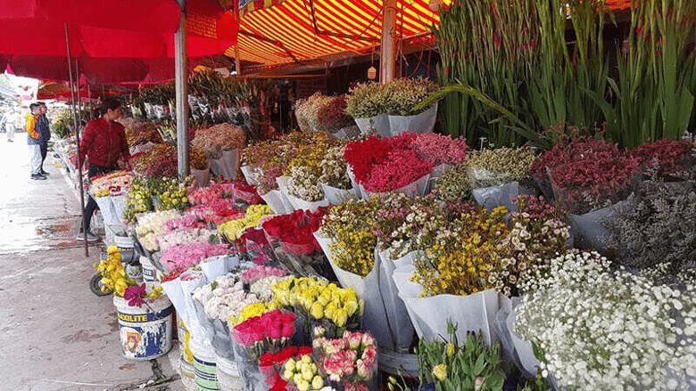 chợ hoa hồ thị kỷ chợ hoa hồ thị kỷ